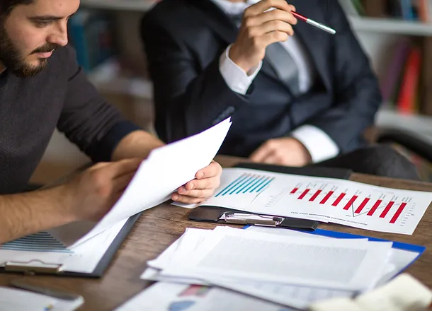 Audits Services